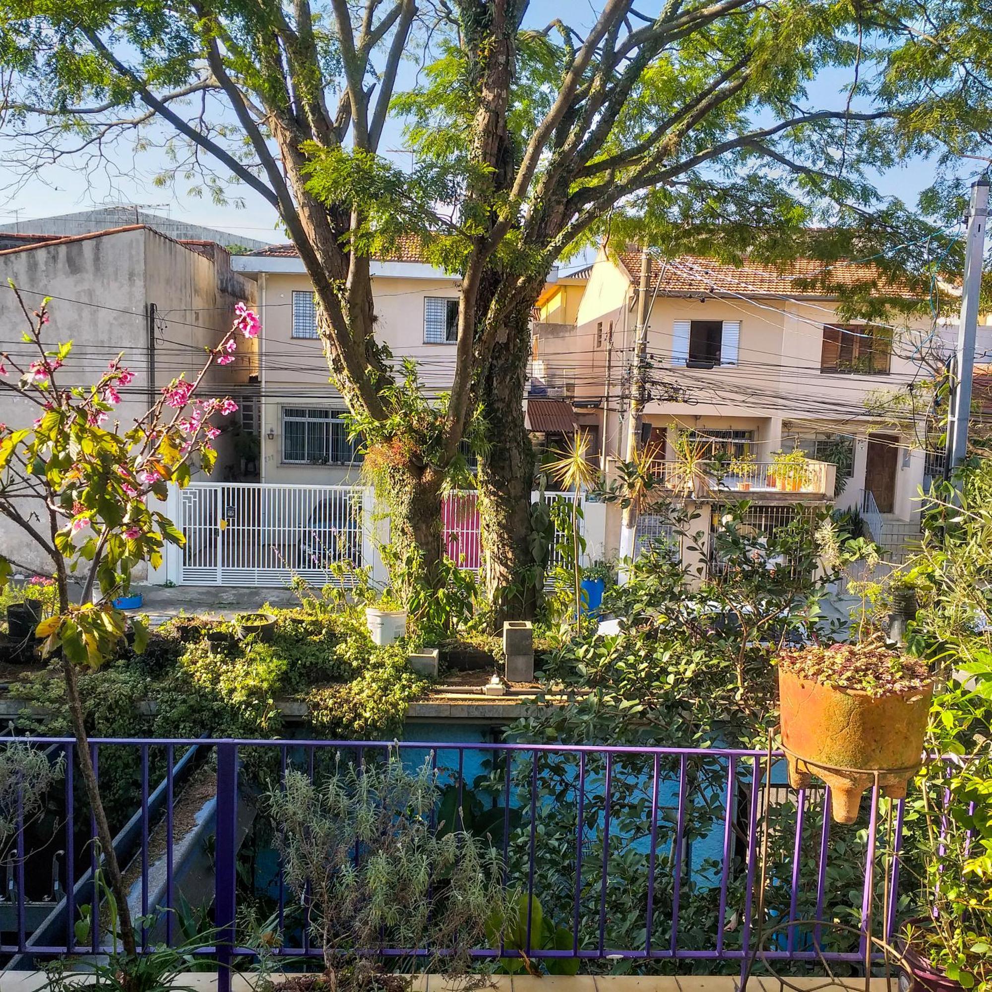 Micasa Hostel - Congonhas Σάο Πάολο Εξωτερικό φωτογραφία