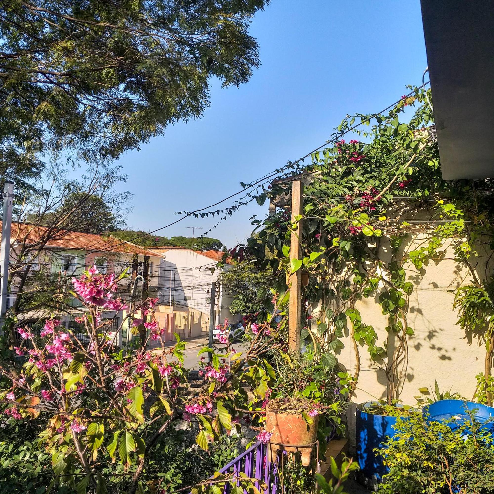Micasa Hostel - Congonhas Σάο Πάολο Εξωτερικό φωτογραφία